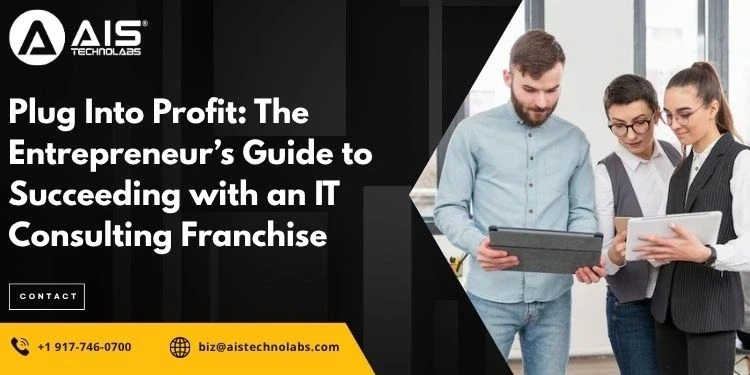 plug into profit: the entrepreneur’s guide to succeeding with an it consulting franchise